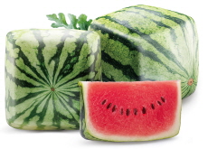 Did You Know Watermelons Can Come in Different Shapes? - Culture