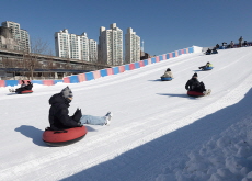 Winter Thrills Await at Ttukseom Hangang Park Sledding Hill - National News