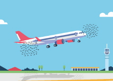 Why Birds Pose a Danger to Planes - Science