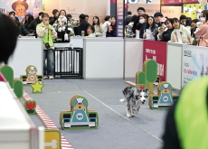 My Pet Fair 2025 / Navy SSU Completes Cold-Weather Training in Jinhae - Photo News