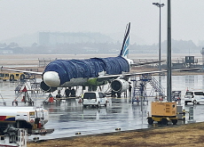 Aircraft Covered With Tarp For Air Busan Fire Investigation / Butterflies Welcome the Beginning of Spring - Photo News