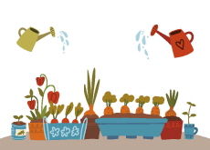 Tiny Garden, Big Fun! - Bonus