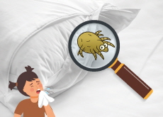 What Are Dust Mites? - Science