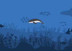 A Tiny Ecosystem From a Whale – The Whale Fall Event - Reader's Voices