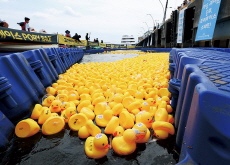 Rubber Ducks Race at Gimpo Ara Marine Festival / Volunteer Firefighters Display Skills at National Contest in Gongju - Photo News