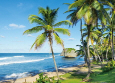Barbados - Let's Go