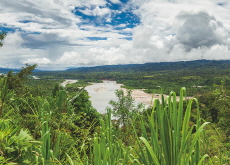 Manu National Park - Let's Go