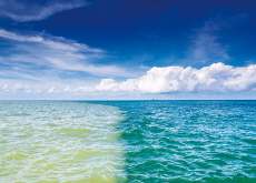 Why Are the East Sea and West Sea Different in Color? - Bonus