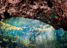 Mayan Caves - Let's Go
