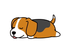 Toilet Areas for Pets - Reader's Voices
