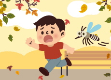 Why Do Mosquitoes Increase in Autumn? - Bonus