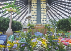 Running With Pikachu in Jeju! - National News