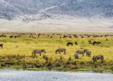 Ngorongoro Crater: A Safari Inside a Volcano - Let's Go