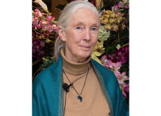 Jane Goodall: The Scientist Who Changed How We See Animals - Culture