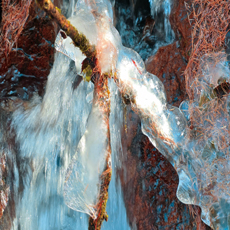 An Icy Morning at Taebaeksan / Red-Crowned Cranes Visit the Rice Field - Photo News