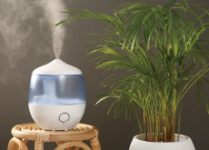Why It’s Important To Clean Humidifiers - Science