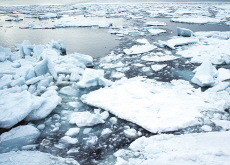 Changes Coming to Kids in 2026 - Culture