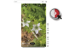 YouTube Gives Parents New Control Over ‘Shorts’ Feed - Culture