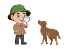 Nate the Great and the Fishy Prize - Reader's Voices