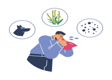 Why Do Allergies Happen? - Aha!