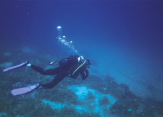 How Deep Can Humans Dive? - Aha!