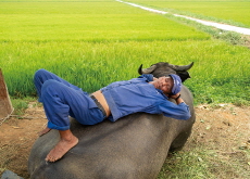 Vietnam’s Special Nap Culture - Culture