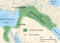 The Neolithic Age - Reader's Voices