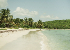 Vieques - Let's Go
