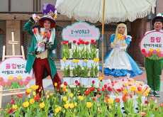 Eworld Celebrates Spring With Free Tulip Event / Spring Cleaning at Gwanghwamun Square - Photo News