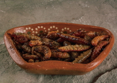 Would You Try Maguey Worms? - Culture