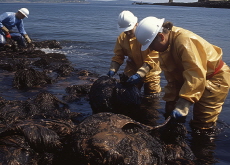 Can Marine Bacteria Combat Oil Spills? - Science