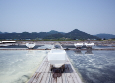 How Does Seawater Turn Into Salt? - Bonus