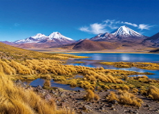 Las Vicuñas National Reserve - Let's Go