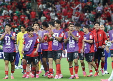 Cheers After a Close World Cup Win / Sunflowers in Full Bloom - Photo News