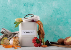 From Trash to Plant Food - Aha!