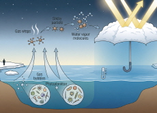 Nature’s Tiny Cloud Makers - Bonus