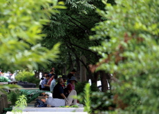 Finding Shade on a Hot Day / Deep in Reading - Photo News