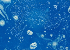 The Mystery of Glowing Seas - Aha!