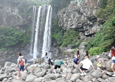 Making Memories at Jeongbang Falls / The World of Reptiles - Photo News