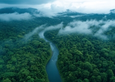 What Lies Beneath the Amazon? - Aha!