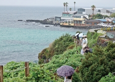 Tourists Explore Jeju’s Beautiful Coast in the Rain /  Rain Brings Relief to Dry Farmland - Photo News