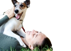 Can Dogs Read Our Faces? - Bonus