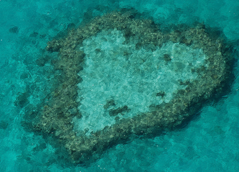 Great Barrier Reef Not “In Danger” for Now