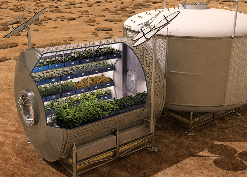 Scientists Explore Ancient Ways To Grow Crops on Mars0