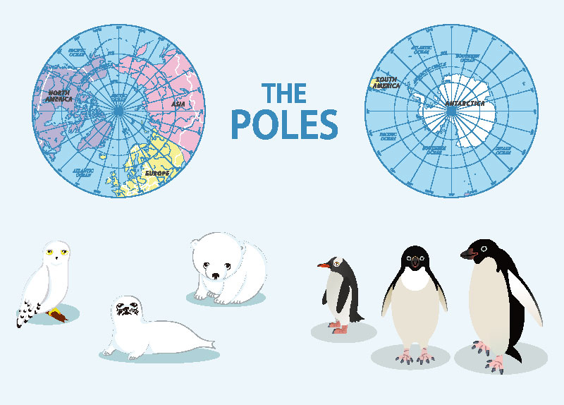 The Differences Between the North and South Poles0