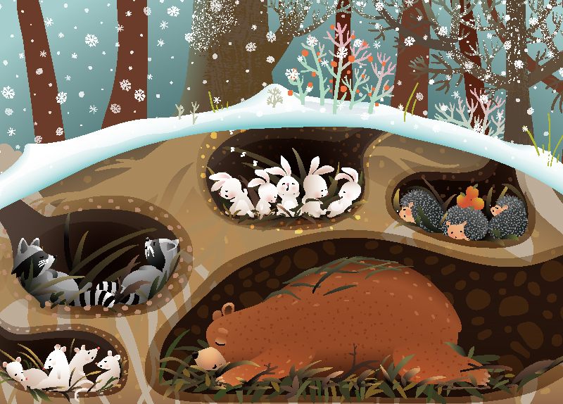 What Is Hibernation?0