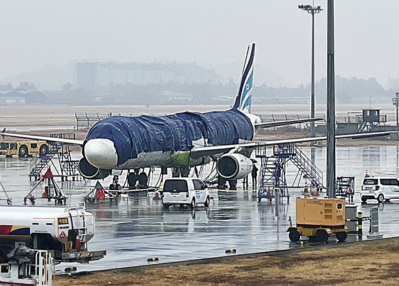 Aircraft Covered With Tarp For Air Busan Fire Investigation / Butterflies Welcome the Beginning of Spring0