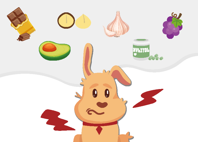 Foods That Can Make Dogs Sick0