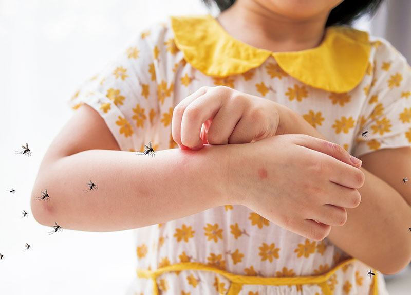 Why Do Mosquitoes Bite Some People More Than Others?0