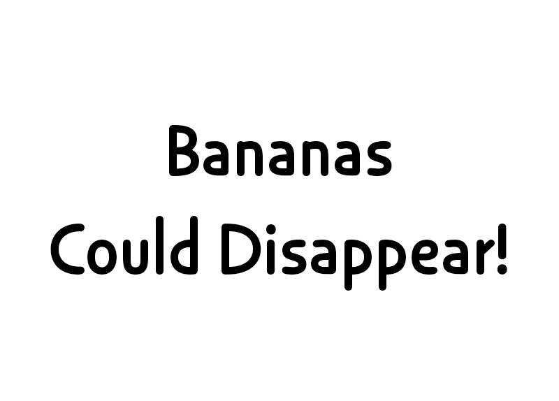 Bananas Could Disappear!3
